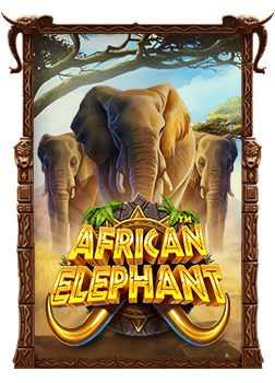 เซ็กซี่ เกม 1168การ เล่น บา คา ร่า ออนไลน์ ที่คุณไม่ควรพลาด